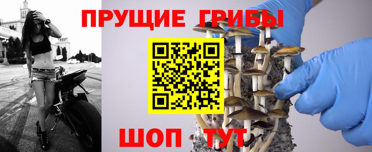 Псилоцибиновые грибы мухоморы  цены наркотик  Вход с VPN  Благодарный  Галлюциногенные грибы мухоморы 